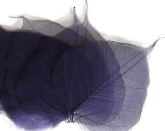 One Dozen Large Navy Skeleton Leaves Great for Corsages, Hair Clips, Paper Crafts