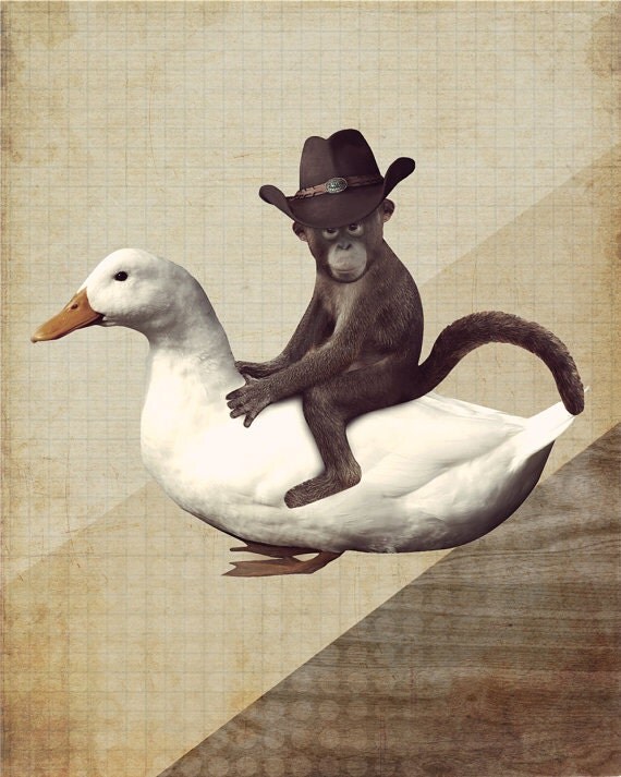 Monkey Riding a Duck