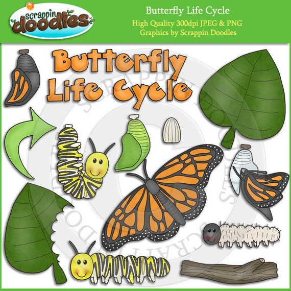 free clip art butterfly life cycle - photo #1