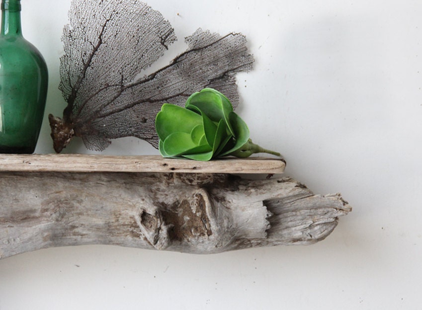 Large Sculptural Natural Driftwood Shelf