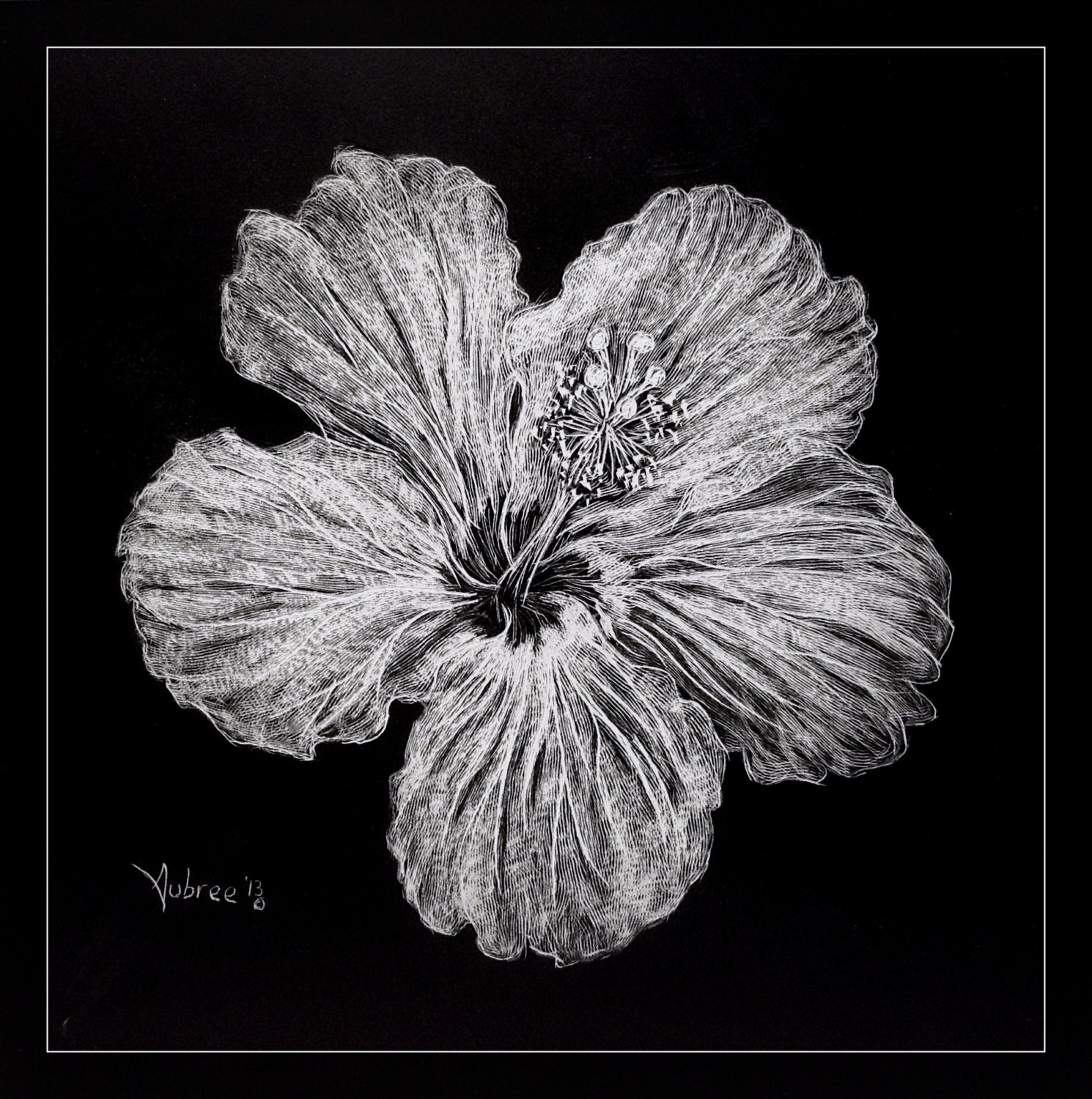 Hibiscus Scratchboard Flower Artist Print by Scratchthedetail
