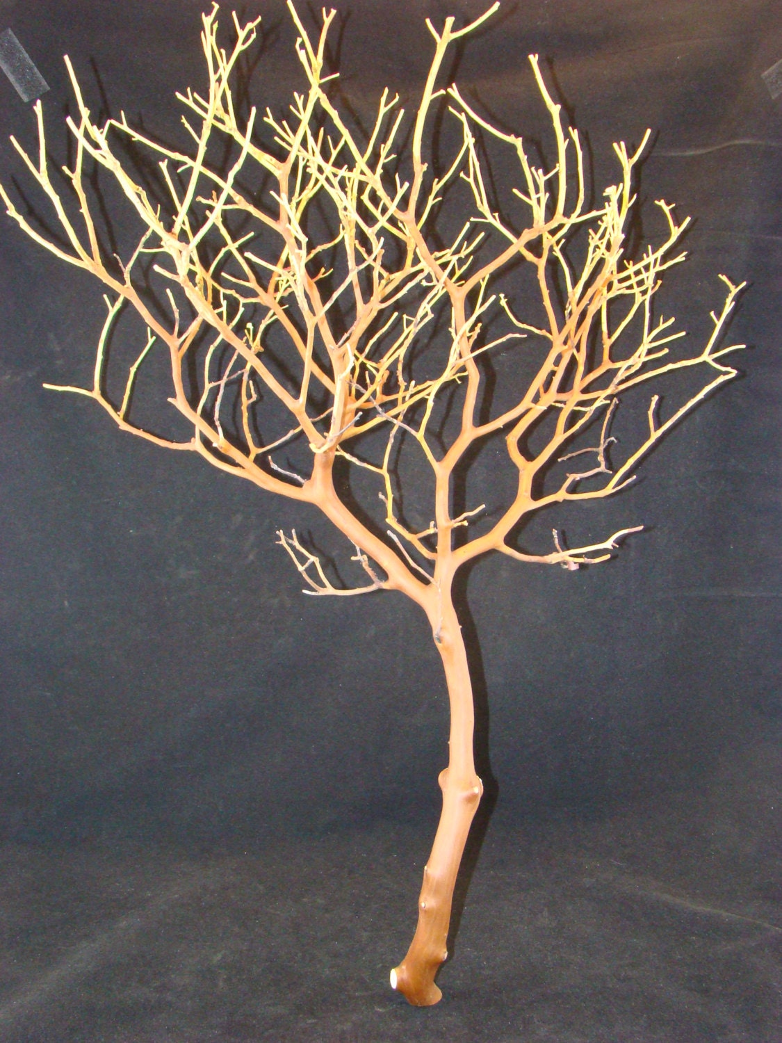 Manzanita Branches 6pack Premium Centerpieces Crafts