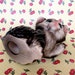 Vintage Kitsch Blue Eyed Kitty Cat Saying Hello Figurine