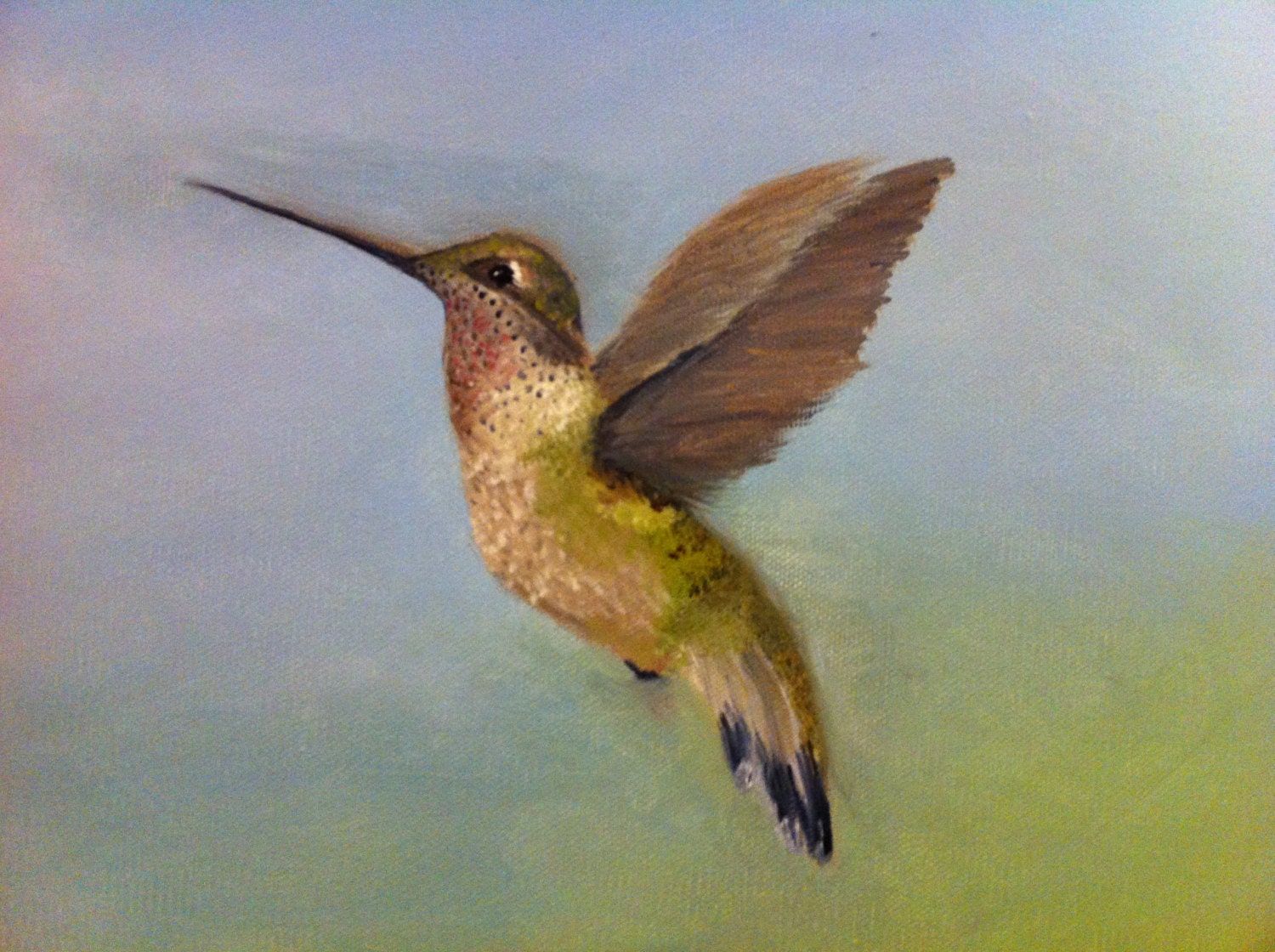 painting hummings birds painting hummings birds