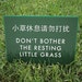 Cute Lawn Sign. Silly Keep off the Grass Sign for the by SignFail