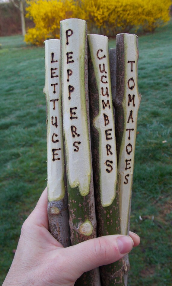 Items similar to Tree Stick Garden Stakes Plant Markers Rustic Twig