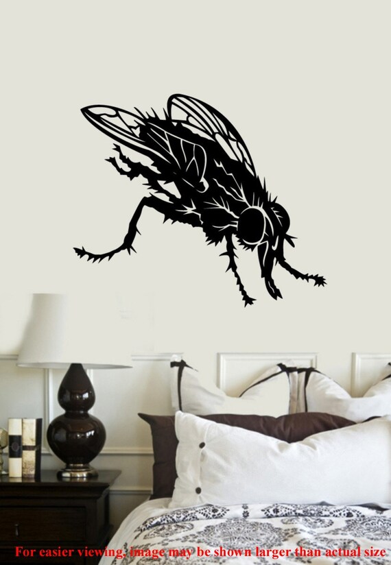 fly on the wall clipart - photo #6