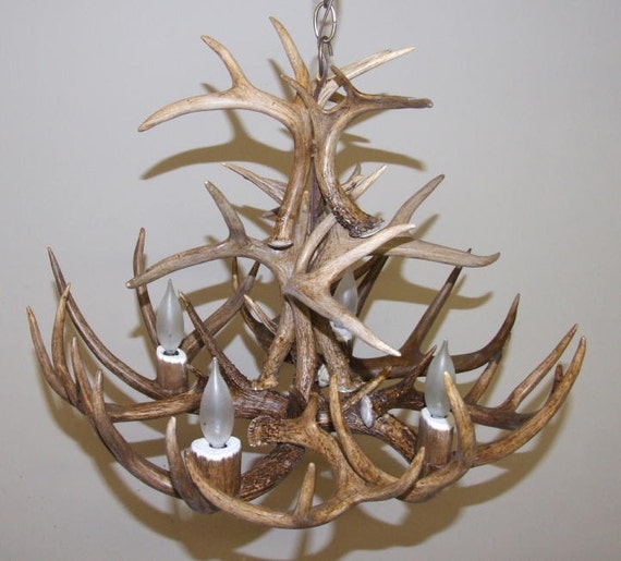 Whitetail Deer Antler Chandelier Real Antler