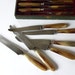 12 Antique French Horn Handle Knives with Original Box