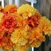 Marigold Wreath Marigolds Front Door Decor by SincerelyKiera