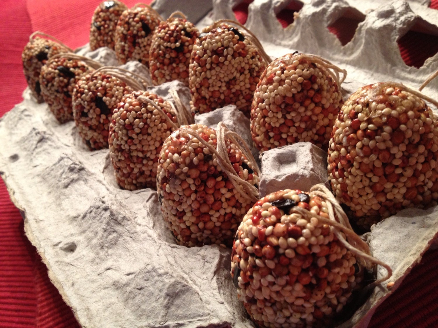 Set of 12 egg bird seed ornaments by lilgreenbirdcreation on Etsy