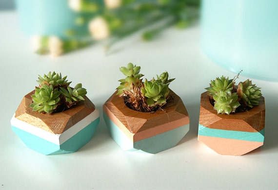 Geometric Mini Planters set of 3, for succulents, Home Decor