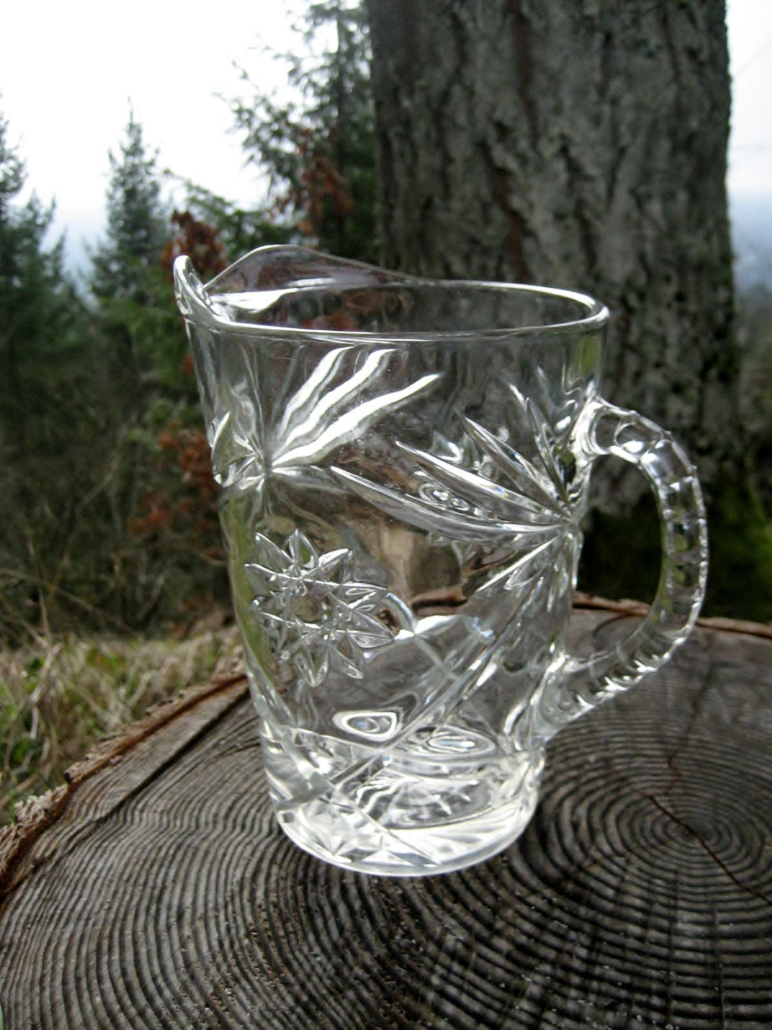 Vintage Pressed Glass Pitcher Prescut Pattern by Anchor