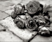 Garden Photography, Fine Art Photo, Roses, Black and White, Nature, Cottage Chic, Shabby, Rustic, Art Print