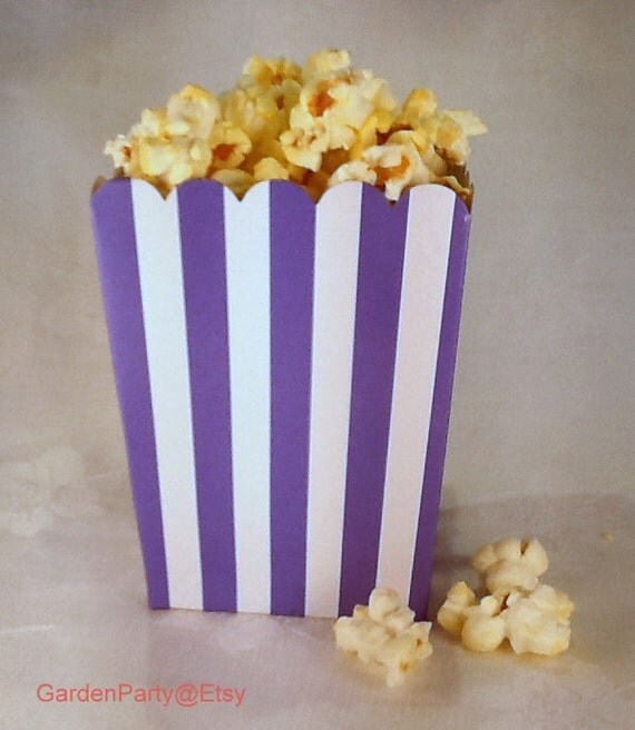 12 Mini Purple and White Striped popcorn boxes treats favors