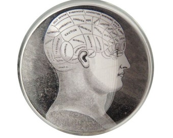 Vintage Phrenology Head, High Quality Vintage Print Glass Dome Paperweight