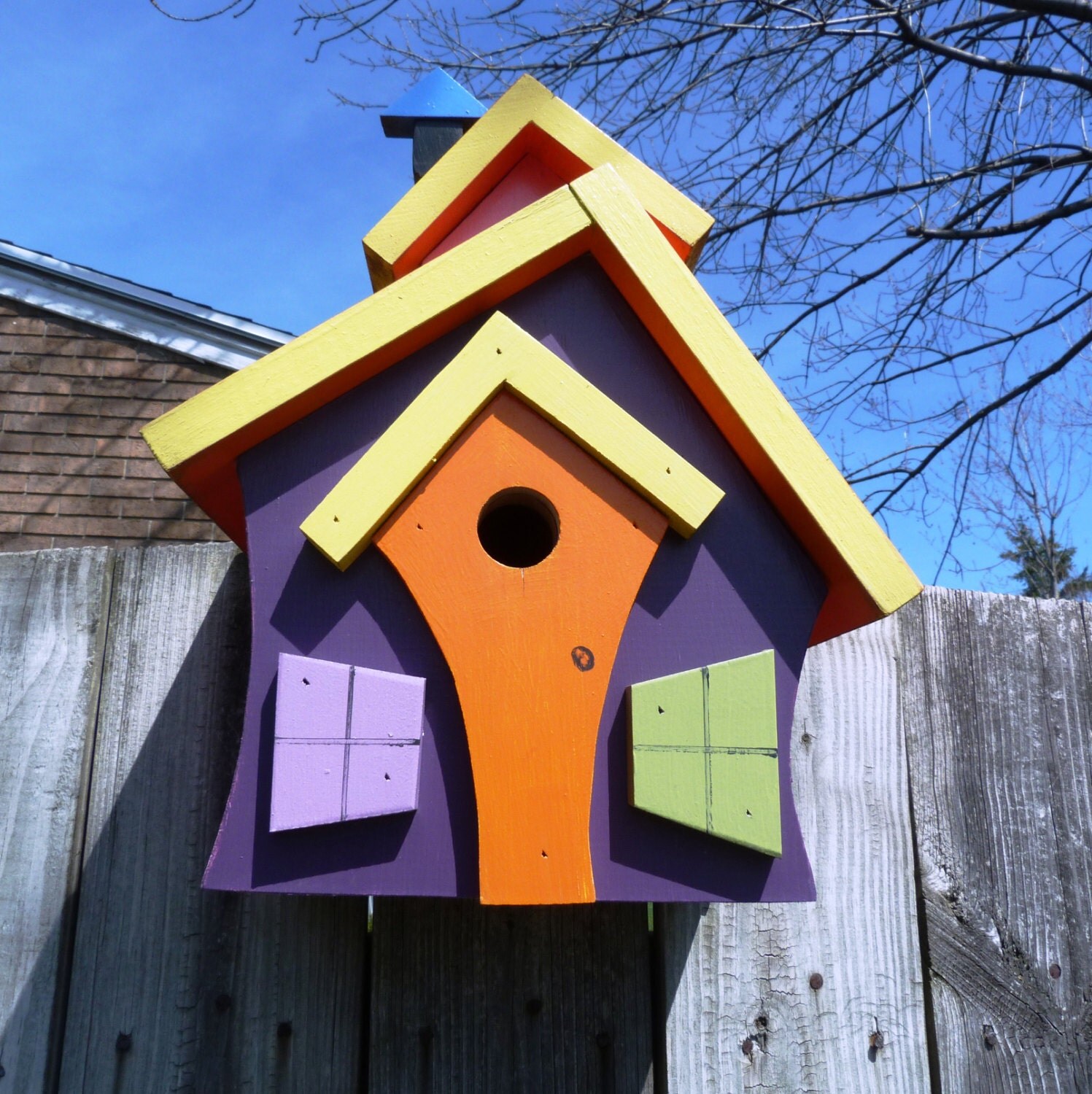 Crazy Birdhouse 1 adds modern color & design to by