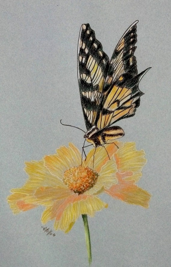 Items similar to Yellow Butterfly & Flower Colored Pencil on Etsy