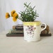 Antique Shaving Mug - 1906 Maddock and Co. Polychrome Aesthetic Transferware