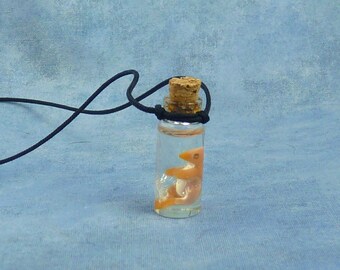 Bird Embryo Specimen Jar Necklace, Handmade Jewelry