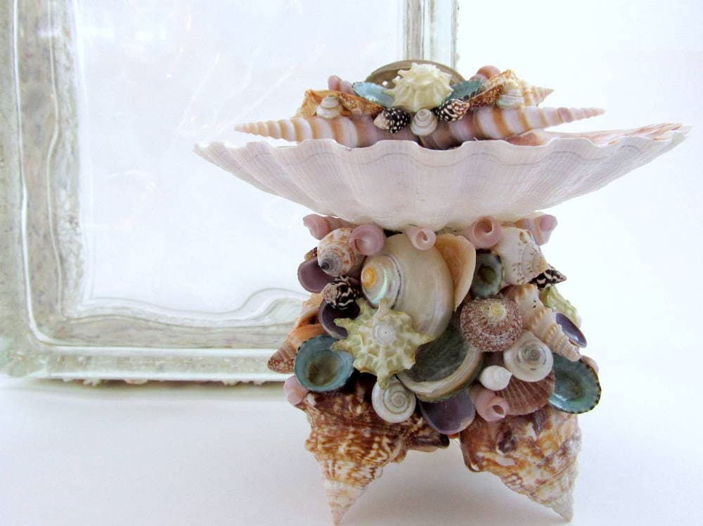 Shell Pedestal Dish with Beach Collected Florida Fighting