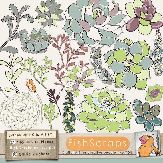 50% Sale - Flower ClipArt - Succulent Clip Art -2- Dark Outlines - Hens & Chicks - Commercial Use - Digital - Plant Il_570xn