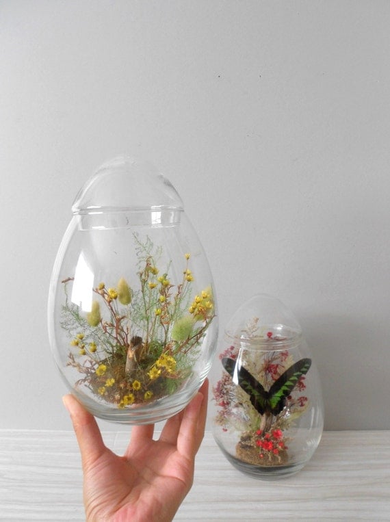RESERVED // LARGE egg shaped glass jar terrarium with