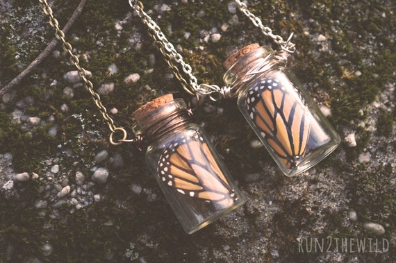 The Butterfly Effect Real Monarch Wing Bottled Necklace