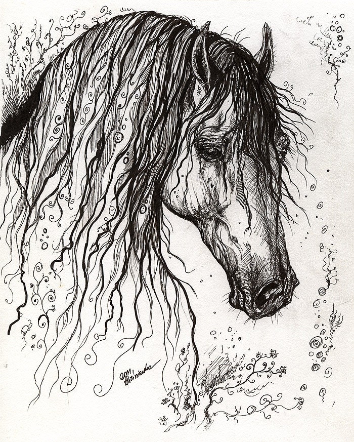 Download Horse with a long mane original pen drawing