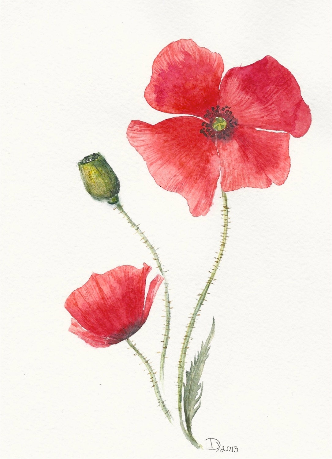 Flowers Original watercolor painting Red Poppy