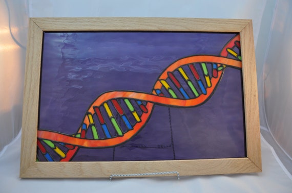 Items Similar To Dna Double Helix Stained Glass On Etsy 2823