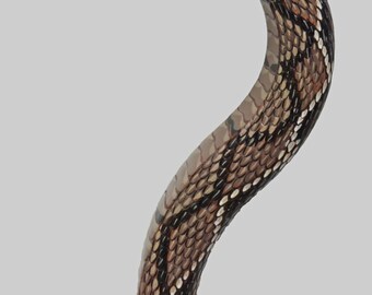 Wood Carved Rattlesnake Walking Cane