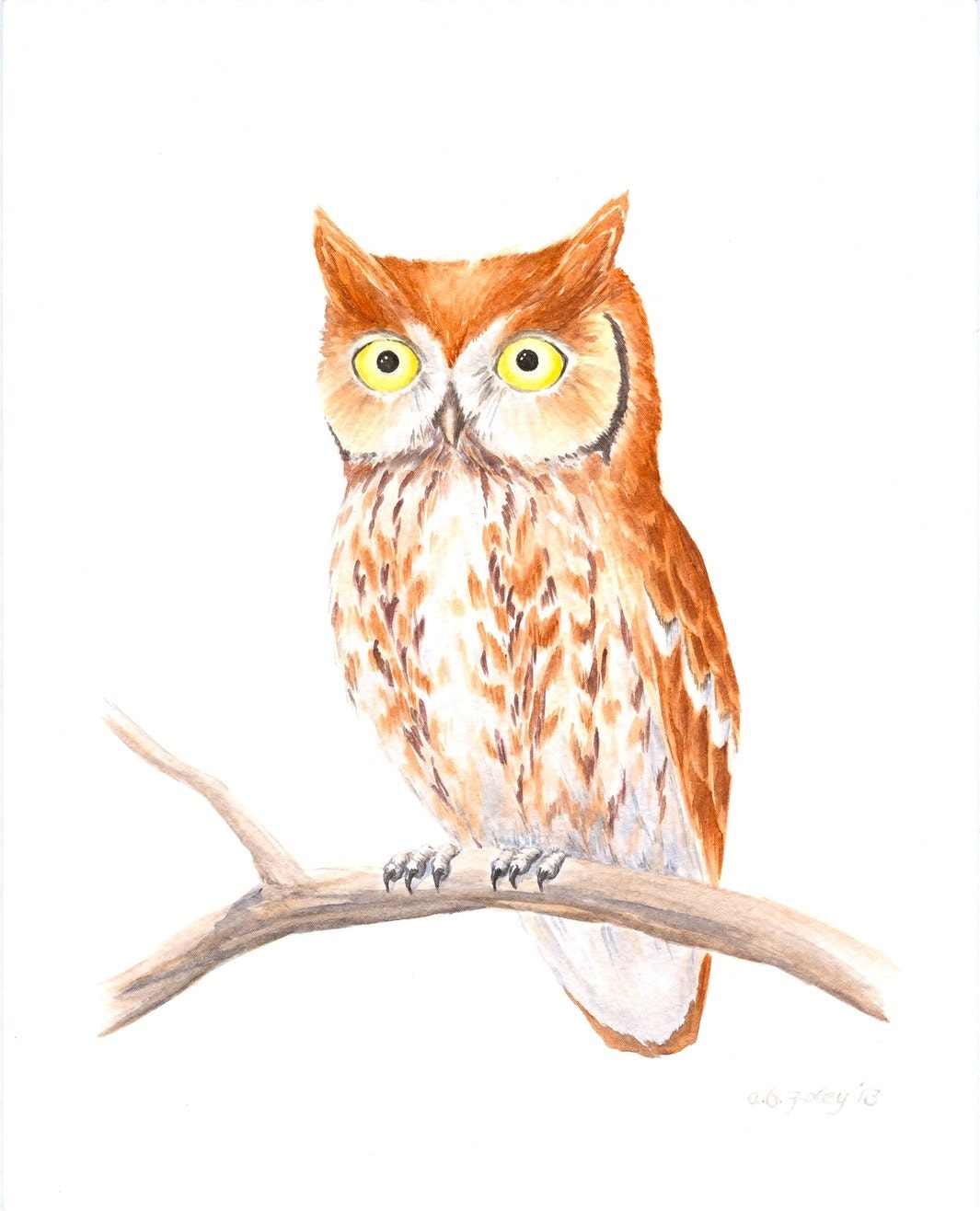 Aquarell Eule malen: Original rot Kreischeule von ABFoleyArtworks