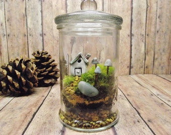 Small Jar Terrarium - Live Moss - Fairy House - Glow in the Dark mushrooms - Miniature lantern - Fairy Garden - TERRARIUM