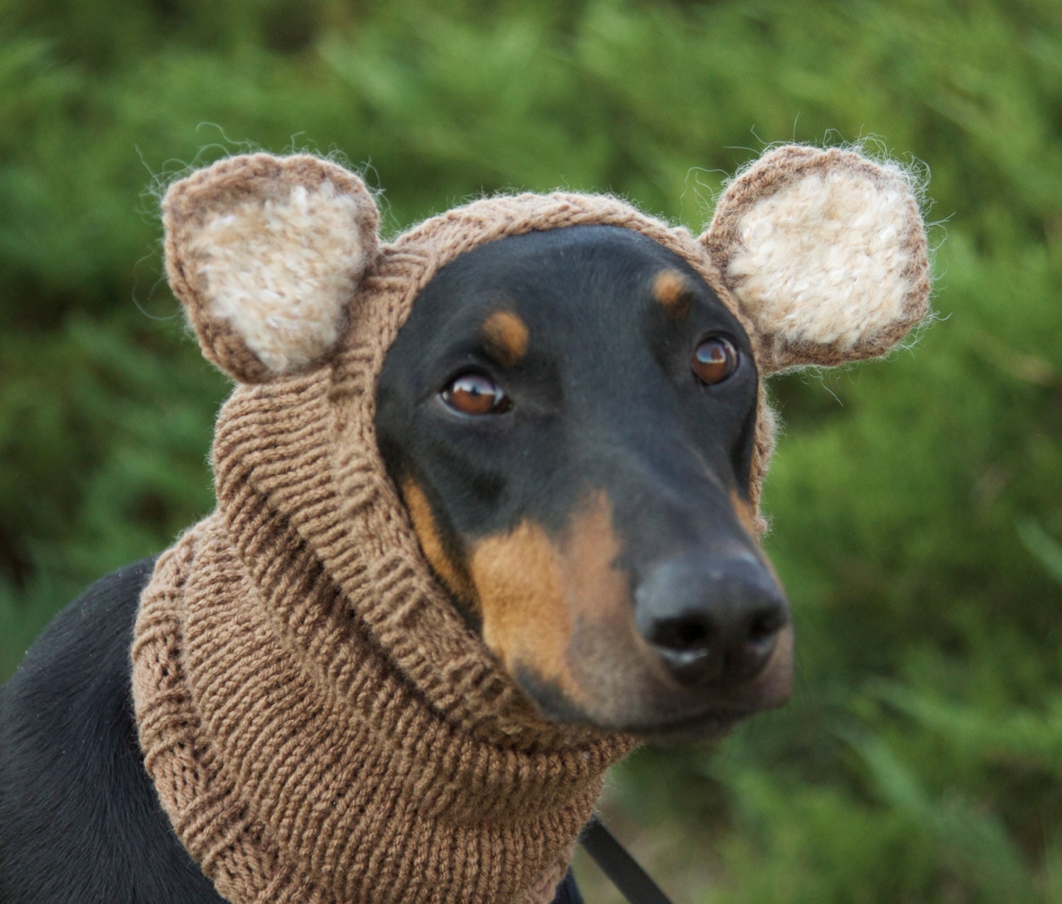 Knitted Dog Snood warm and cute with ears