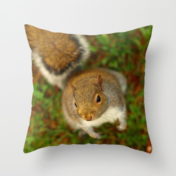 squirrel pillow pet