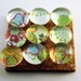 Decorative Push Pins Thumb Tacks in Flavorful