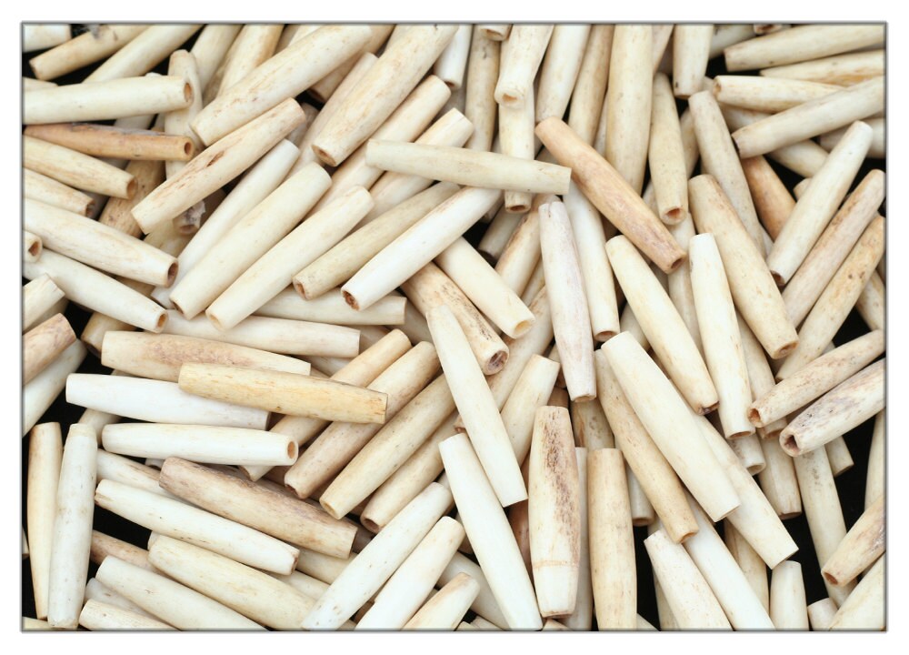 Bone pipe beads natural bone hairpipe beads 1 1/2 inch set