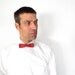 Red Bow Tie / Vintage 1950s Tie / Men's Bow Tie