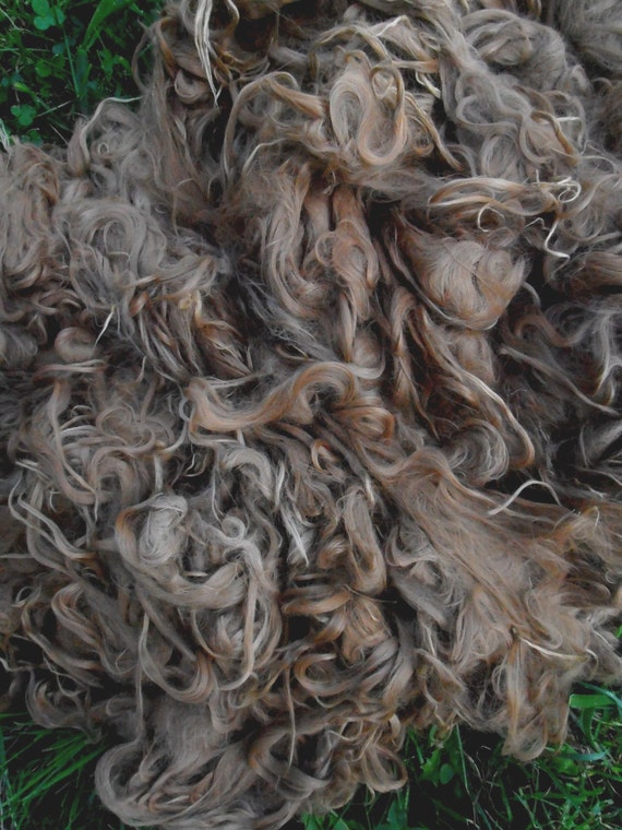 Raw Alpaca Fleece, Raw Alpaca Fiber, Alpaca Wool, Bird Nesting Material,  Felting Supplies, Felting Wool, Fiber for Crafts, Craft Wool -  Canada