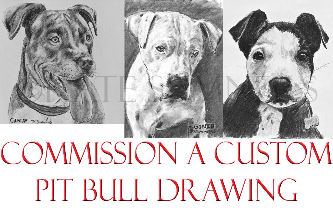 Custom Charcoal Pencil Pit Bull Drawing Your Terrier by ESArt