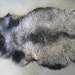 Sheepskin - Natural Gray - Icelandic Sheep pelt - Wool - Rug