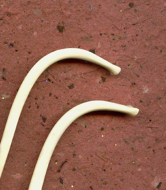 raccoon toothpicks raccoon toothpicks