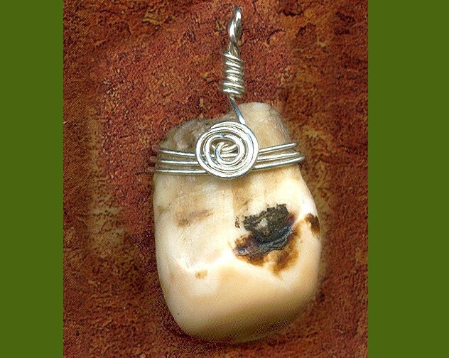 LAST One... Elk Ivory Tooth Pendant.... Genuine Elk Teeth