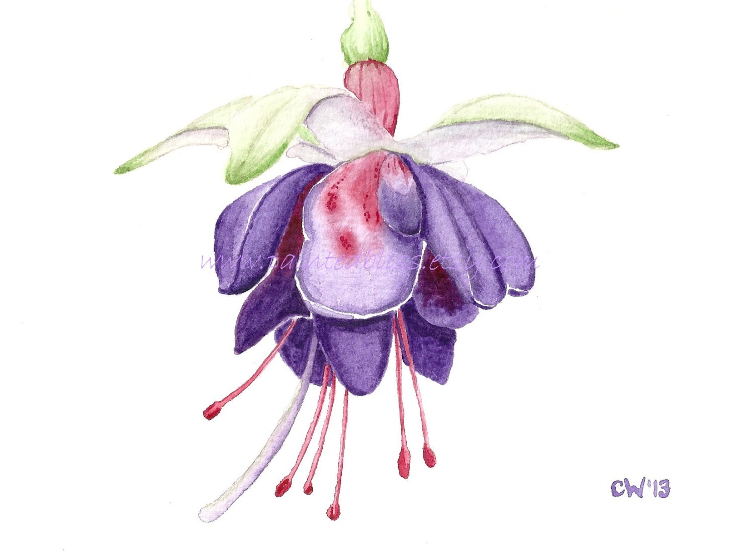 15 off sale original watercolor painting fuchsia 15 off sale original watercolor painting fuchsia