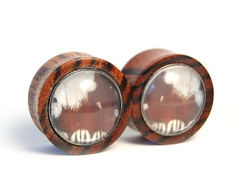 1 inch Butterfly Wing and Zebra Wood Plugs Pre-Made ON SALE - Gauges Stretchers Body Jewelry