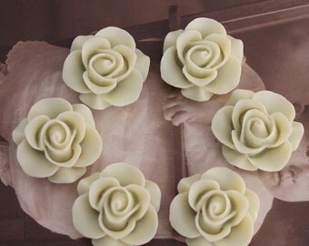 Wholesale Beautiful Colorful Rose Flower Resin Cabochon --20mm(CAB-S-17)