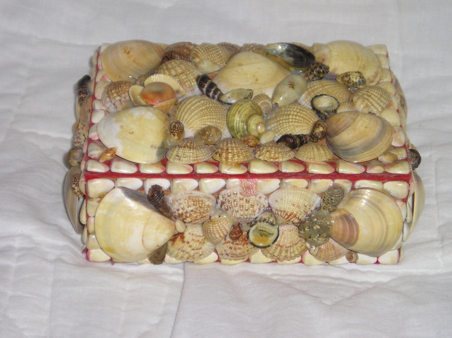 Shell Covered Box from Carla”s Vintage Finds Haute Juice