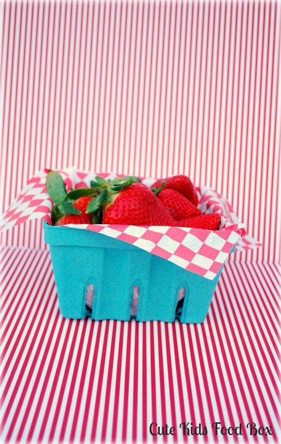6 Berry Baskets Large Quart Size Berry Boxes Lunch Box