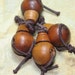 Simple datewood guru beads & caps